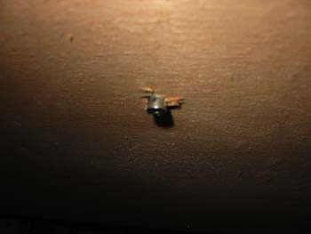 10 Insert Under Close